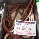 道の駅・宇土マリーナで、ヤガラをさばいてもらいました。