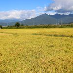 シルバーウィーク　北陸の道の駅旅