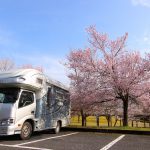 車中泊しながら、お花見ができる道の駅