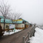 道の駅「どうし（山梨県）」はクレソンが人気