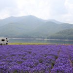 本日、夜12時から。BSフジに出演します。