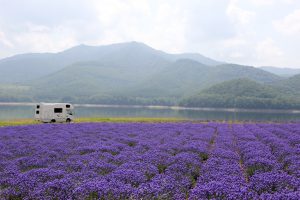 本日、夜12時から。BSフジに出演します。