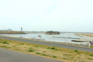 テレビ出演のお知らせ。