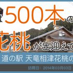 道の駅 天竜相津 花桃の里/静岡県