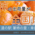 道の駅 筆柿の里･幸田/愛知県