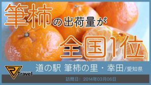 道の駅 筆柿の里･幸田/愛知県