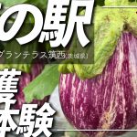 《道の駅を使って日本一周!》【道の駅　グランテラス筑西/茨城県】に行ってきました！