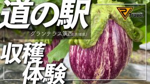 《道の駅を使って日本一周!》【道の駅　グランテラス筑西/茨城県】に行ってきました！