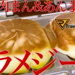 【車中飯】トラメジーノで焼き肉まん!